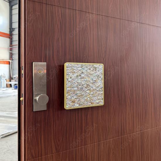 modern pivot entrance door